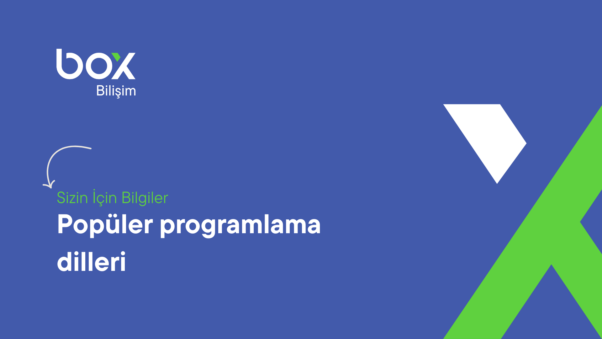 Popüler Programlama Dilleri